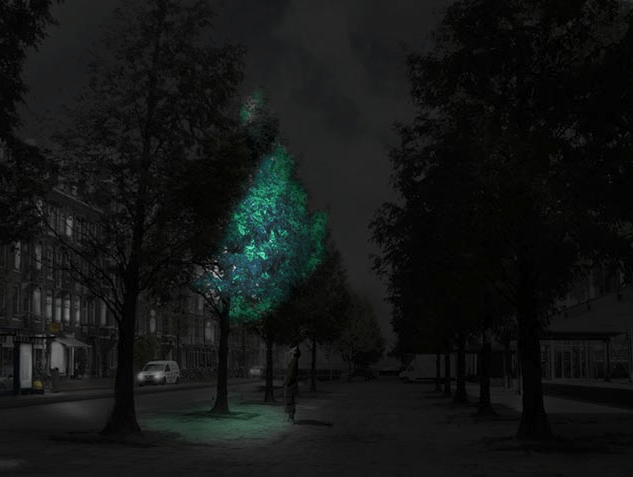 Glow in the Dark Trees