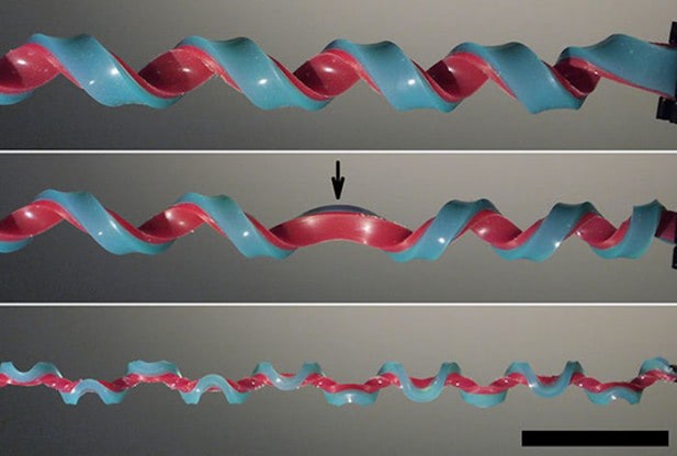 Hemihelix: A New Geometric Shape | Next Nature