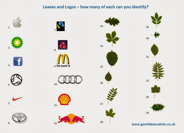 Leaves & Logos Identification Quiz