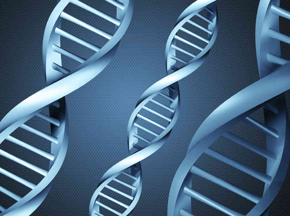 Scientists Created "Alien-DNA"