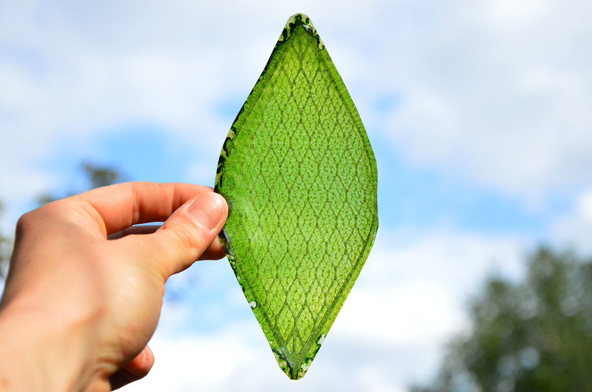 The First Man Made Leaf Looks like a Leaf