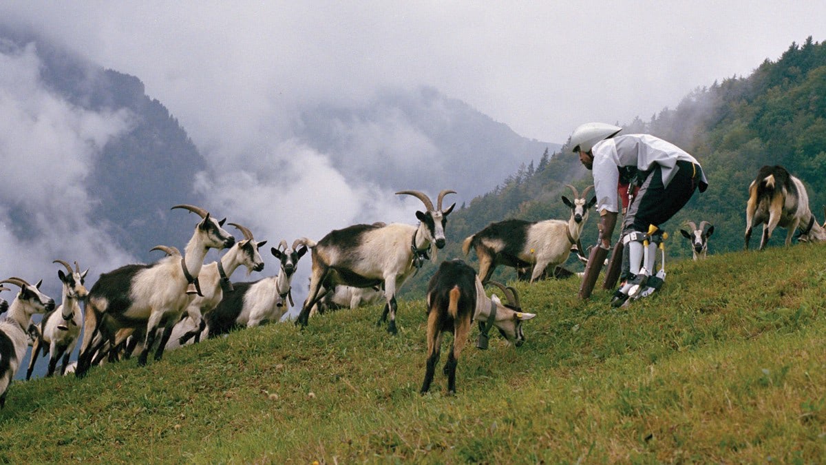 Thomas Goat Abandoning Modern Life to Live as a Goat | Next Nature