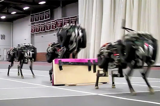 MIT Lets Robot Cheetah Off Leash