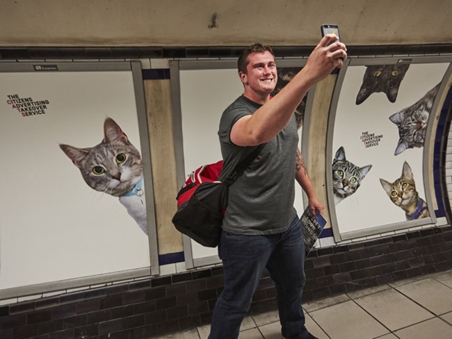 Cats Take Over London Underground