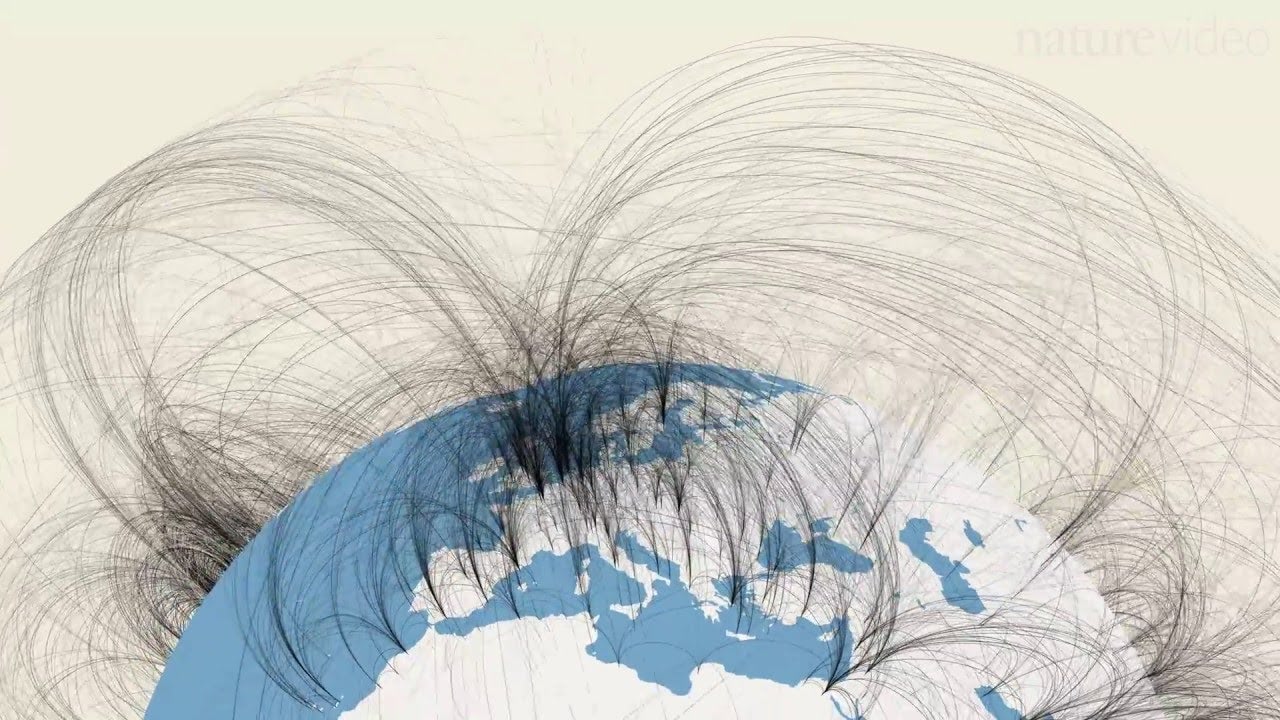 The Complex Networks of Our Planet