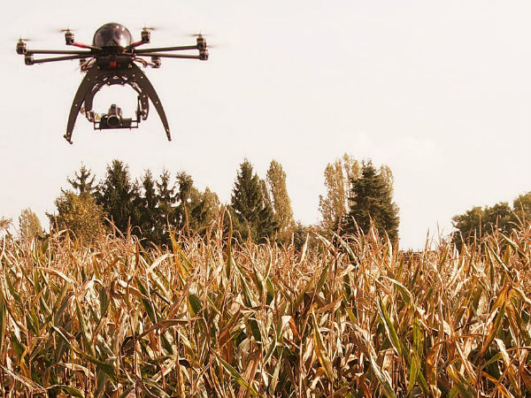 Drones in Agriculture