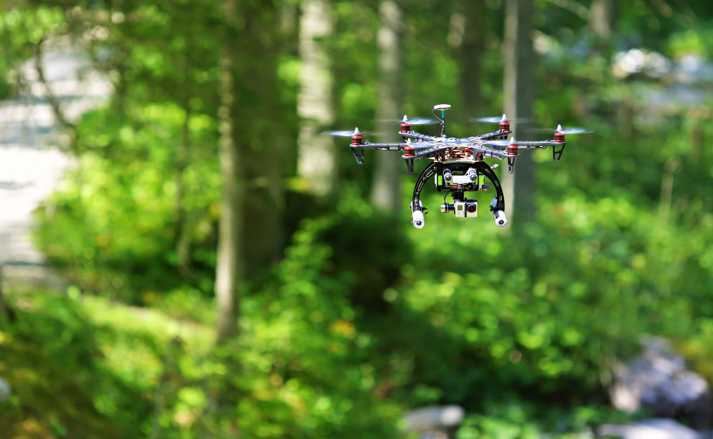 Lost in the Forest? The Drones Will Find You