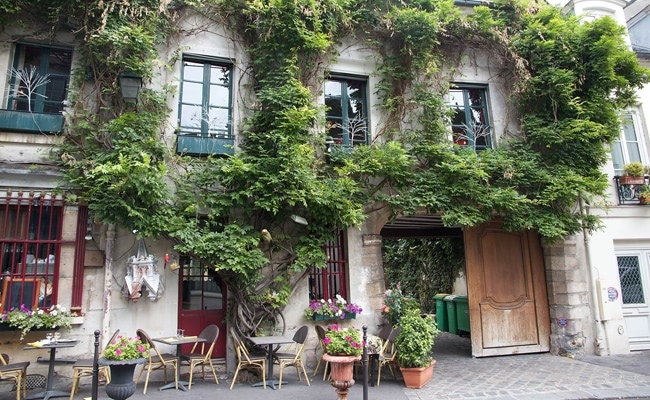 Guerilla Gardening in Paris