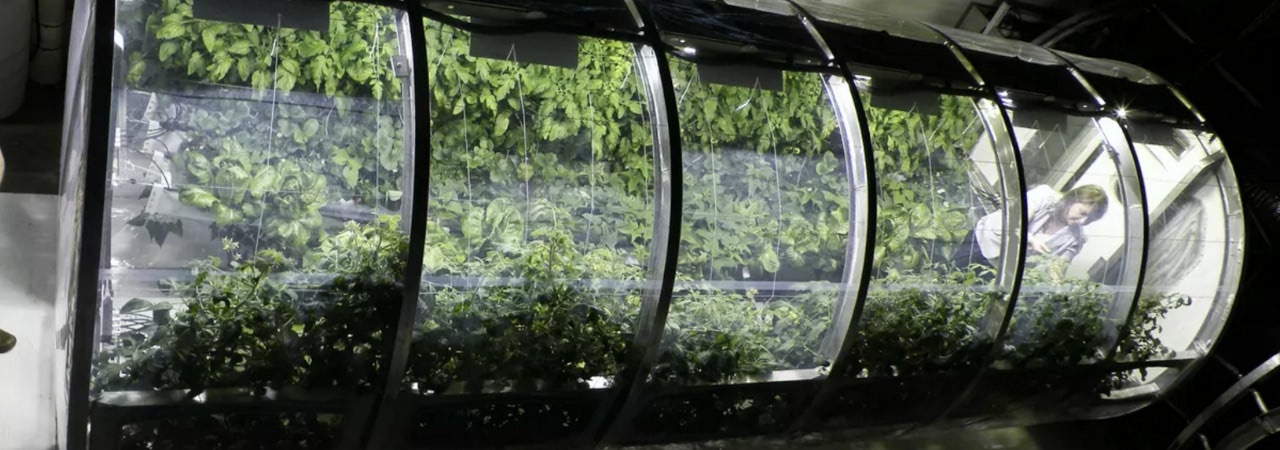 Greenhouse for Space Colonies