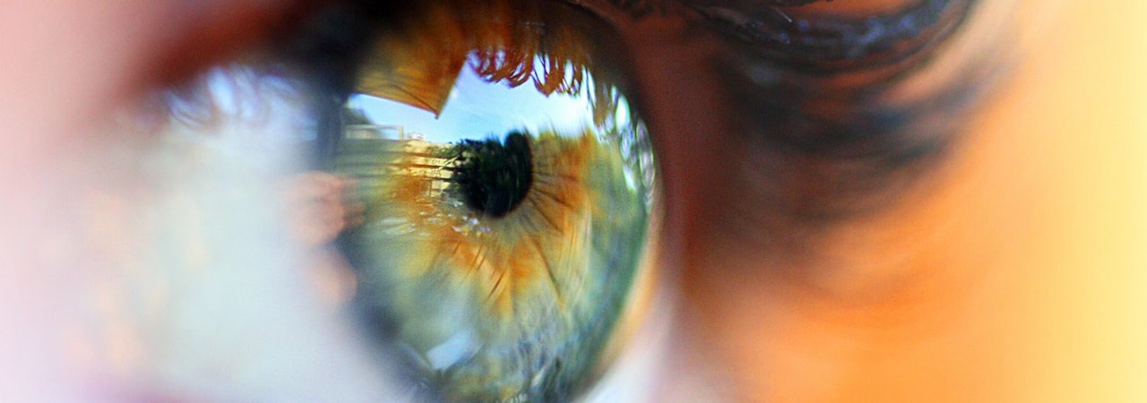 Looking into the Artificial Eye