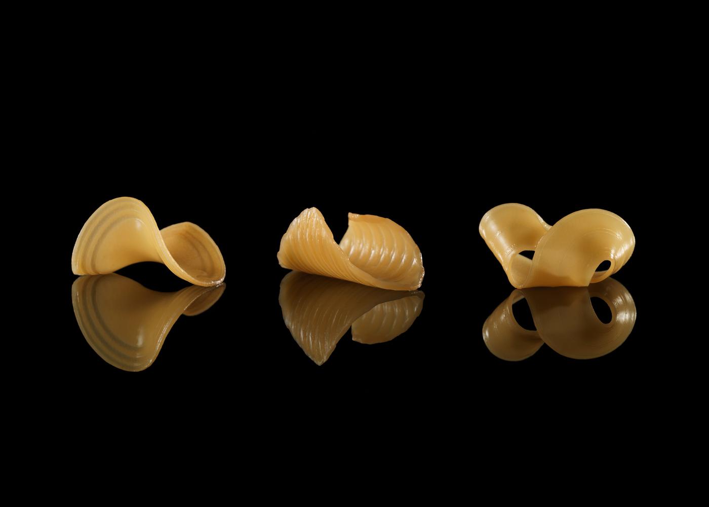 Transformative Appetite: Shape-Shifting Pasta