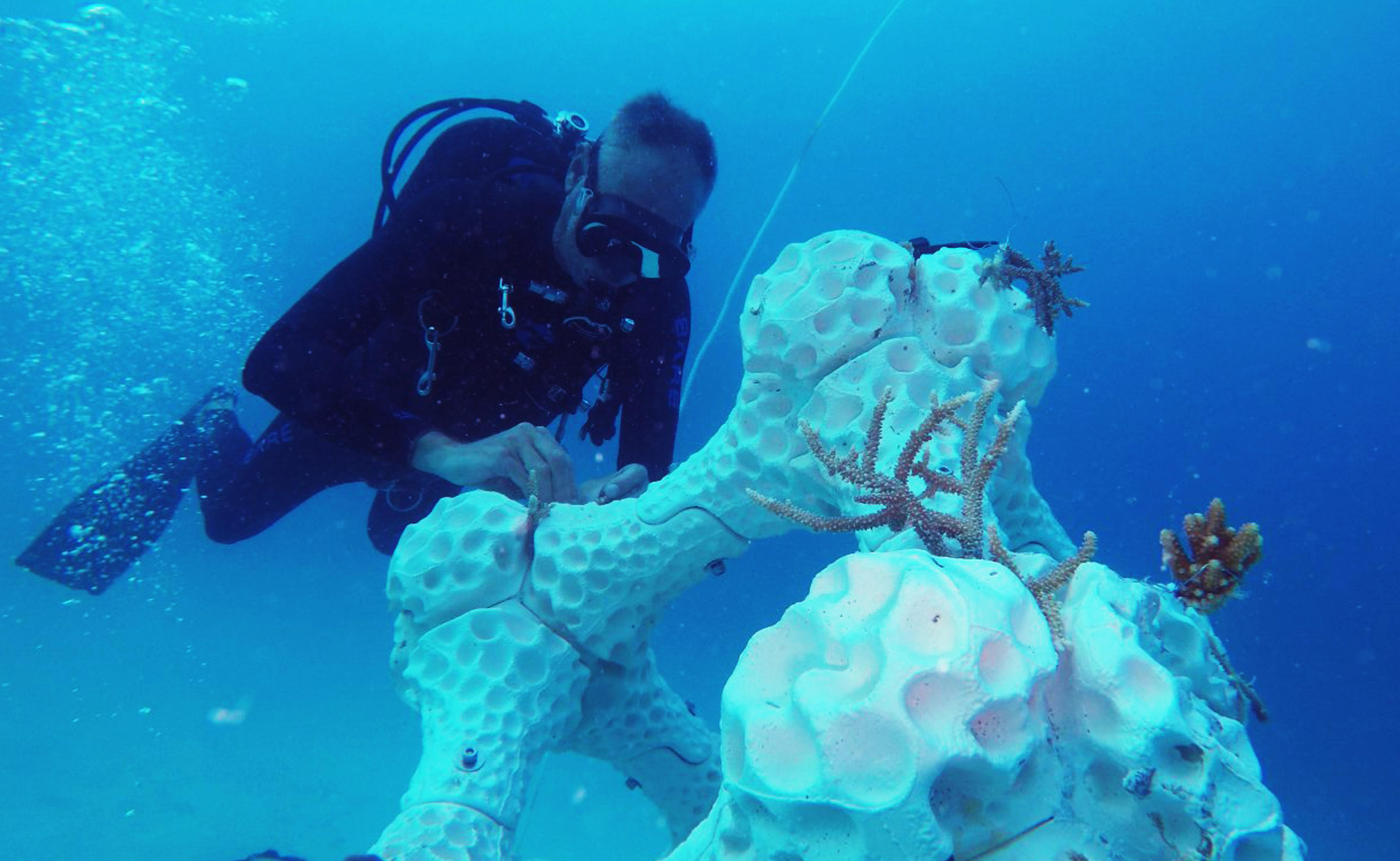 Adding a new dimension to marine restoration: 3D printing coral reefs