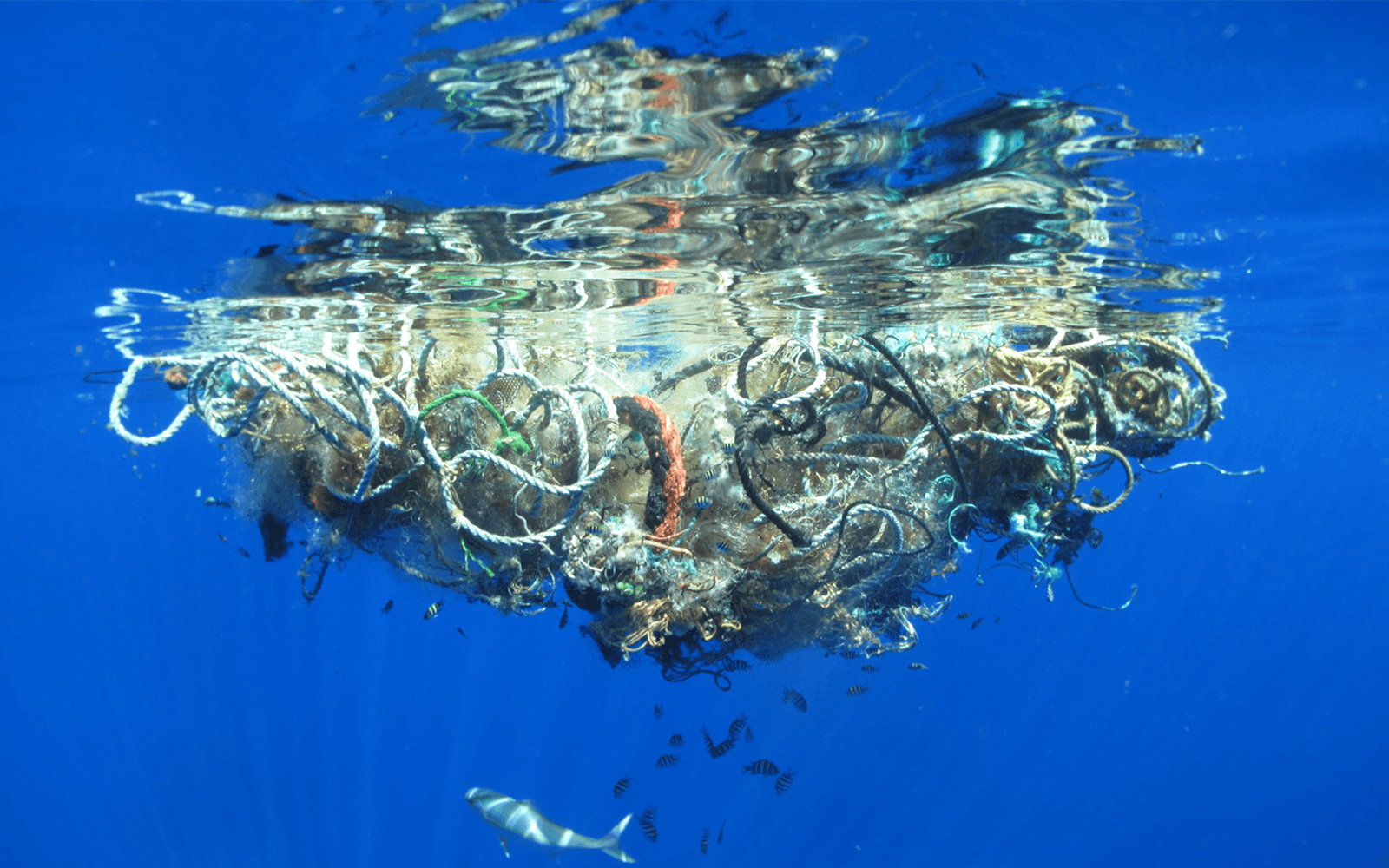 The Great Pacific garbage "patch" is now three times the size of France