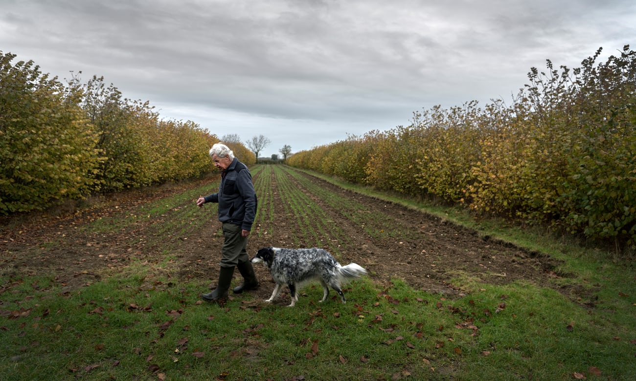 The New Technology in Agriculture: Trees