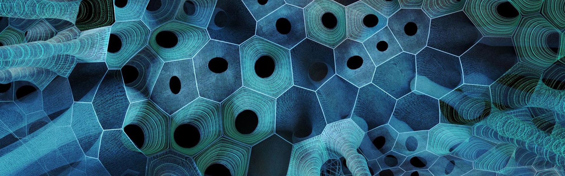 An introduction to biomimicry