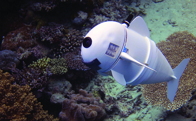 Watch this robot fish swim through the ocean