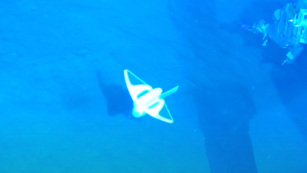 Fish-inspired soft robot takes a deep dive