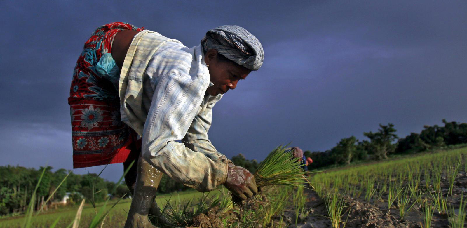 How the ECO Coin could bridge the gap between sustainable farming and monetary returns