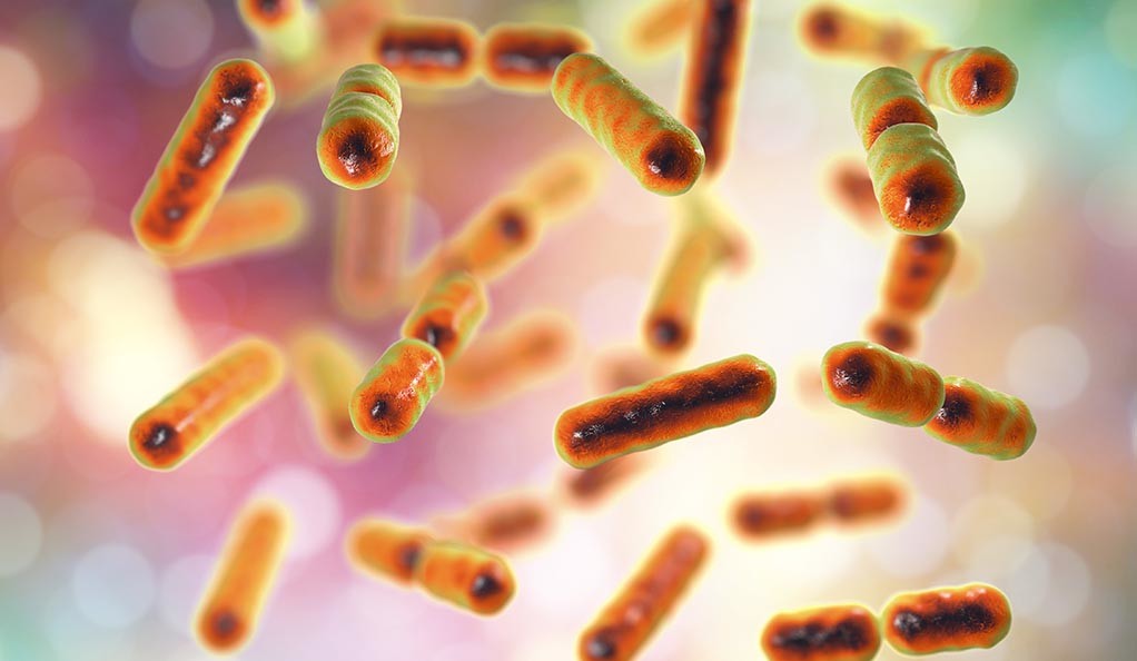 Personalise your gut health with Microbiota To Go