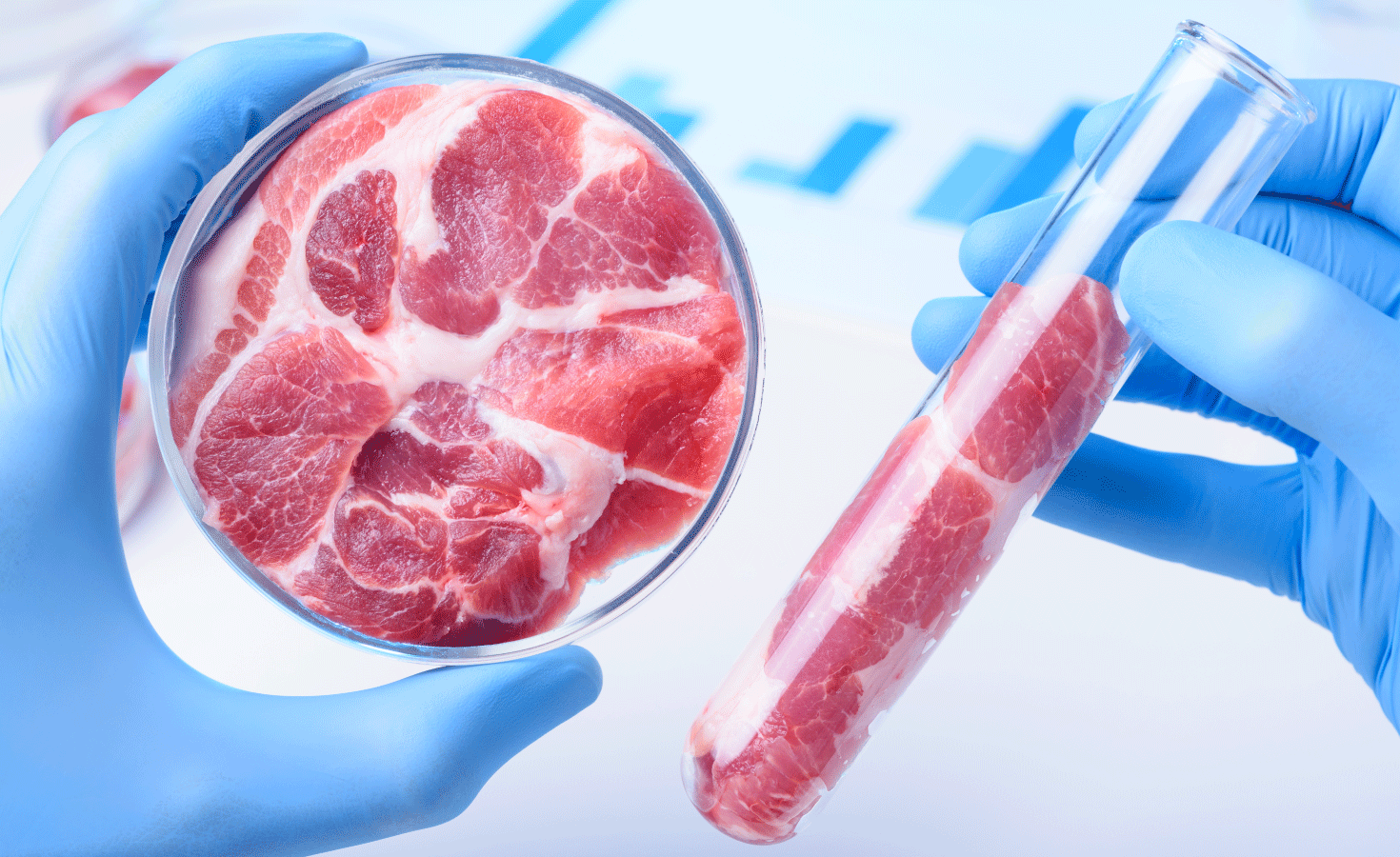 Meat the future: the Netherlands might soon become a global hub for in vitro meat