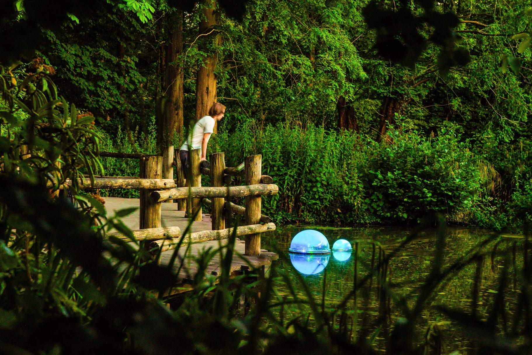 Nova Innova When nature speaks | Next Nature