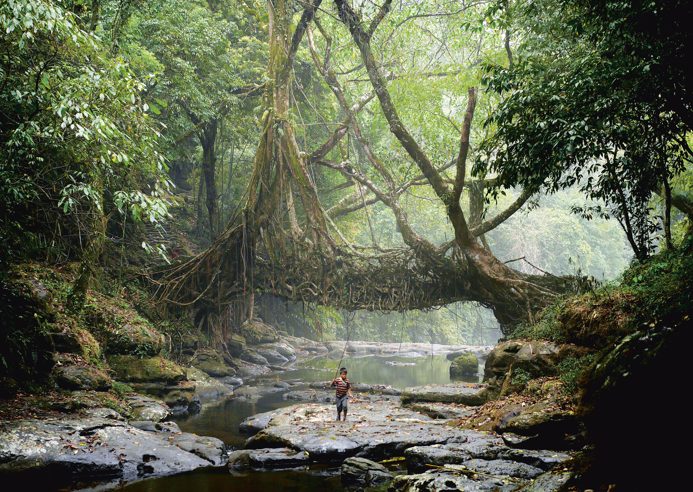 A new mythology of technology | Next Nature